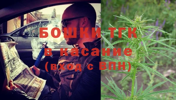 гашик Арсеньев