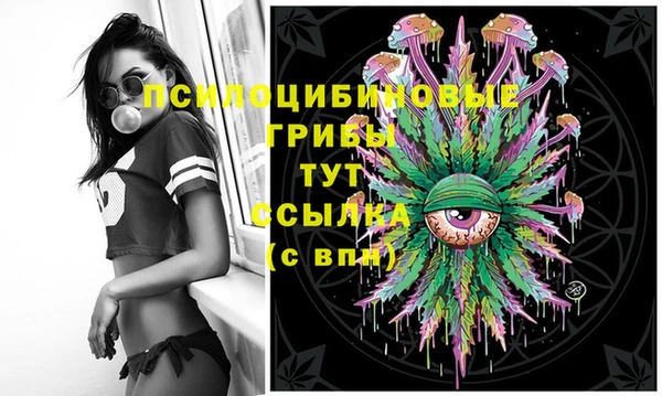гашик Арсеньев