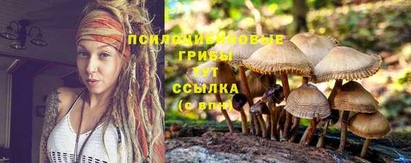 гашик Арсеньев