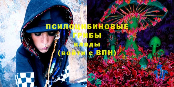 гашик Арсеньев