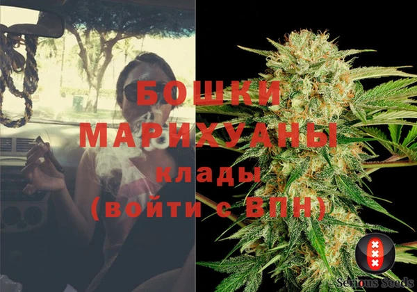 гашик Арсеньев