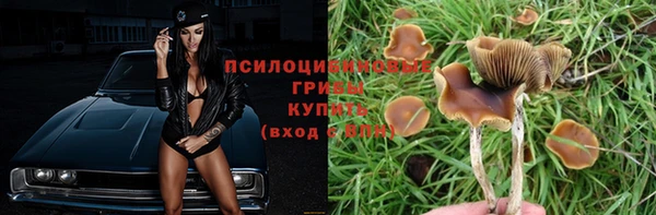 стаф Армянск
