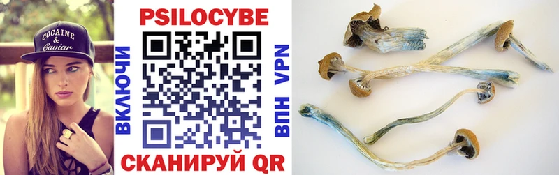 Галлюциногенные грибы MAGIC MUSHROOMS  Приморско-Ахтарск 